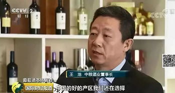 本土特色與大單品 國產葡萄酒在銷售壓力下的突圍路徑探索